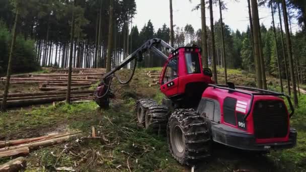 Těžební Zařízení Lesnický Průmysl Stroj Zblízka Mechanický Nástroj Pro Uchopení — Stock video