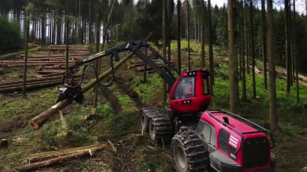 Equipo Tala Máquina Industria Forestal Garra Manipuladora Cosechadora Forestal Industrial — Vídeo de stock