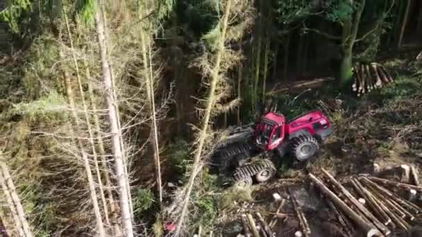 Tiro Aéreo Braço Mecânico Uma Máquina Remoção Casca Especializada Tira — Vídeo de Stock