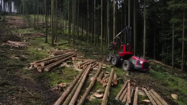 Máquina Indústria Florestal Equipamento Registro Máquinas Para Cortar Árvores Equipamento — Vídeo de Stock