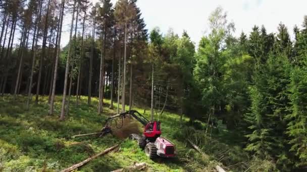 Holzerntemaschine Aus Nächster Nähe Bei Der Arbeit Bei Der Verarbeitung — Stockvideo