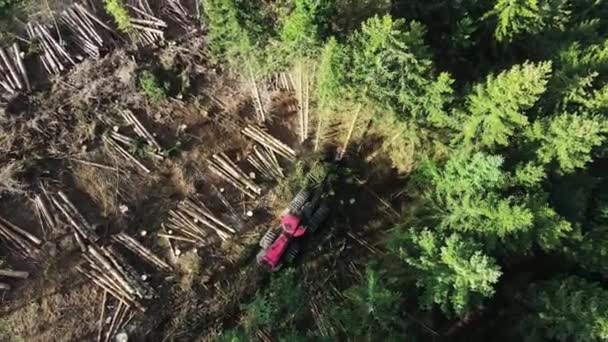 Visão Cima Para Baixo Equipamento Registro Ação Floresta Processamento Floresta — Vídeo de Stock