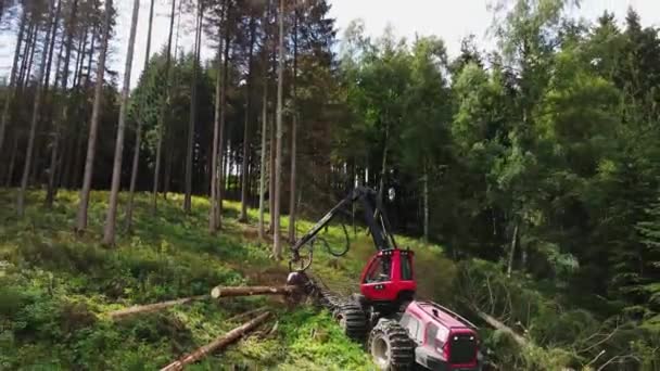 Madeira Log Caminhão Árvore Colheitadeira Trabalho Cortador Madeira Indústria Madeira — Vídeo de Stock