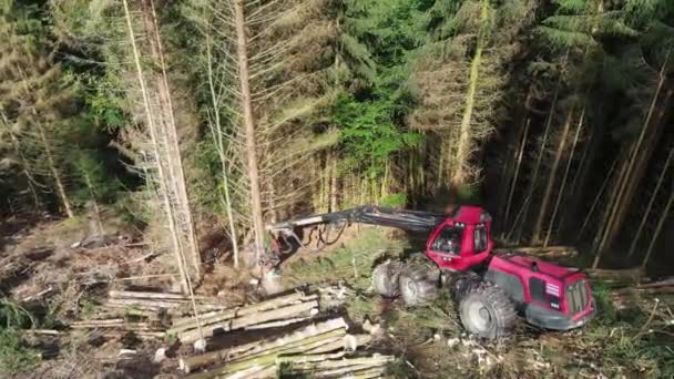 在森林中操作的测井设备 林木采伐机械和木材设备 — 图库视频影像