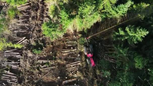 Visão Cima Para Baixo Equipamento Registro Ação Floresta Processamento Floresta — Vídeo de Stock