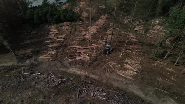 Encaminhador Durante Clareira Floresta Após Corte Árvores Vista Arial Remetente — Vídeo de Stock