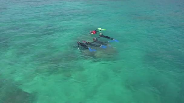 Lotnictwo Turyści Lubią Nurkować Rafie Koralowej Queensland Jako Grupa — Wideo stockowe