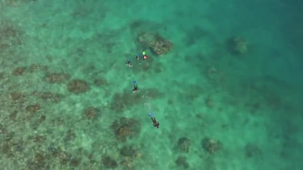 Aufsteigende Antenne Zeigt Schnorchler Die Über Flache Korallenriffe Schwimmen — Stockvideo