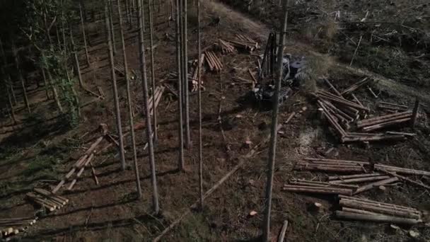Encaminhador Durante Clareira Floresta Após Corte Árvores Vista Arial Remetente — Vídeo de Stock