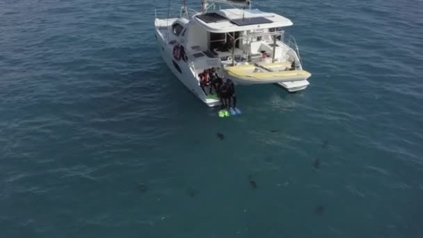 Low Aerial Snorkelen Toeristen Springen Van Catamaran Zeilboot Zee — Stockvideo