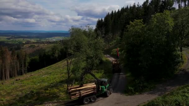 Vista Aérea Caminhão Transportando Madeira Logging Transporte Floresta — Vídeo de Stock