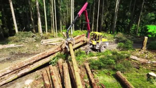 Máquina Registro Equipamentos Madeira Encaminhador Durante Desmatamento Após Corte Árvores — Vídeo de Stock