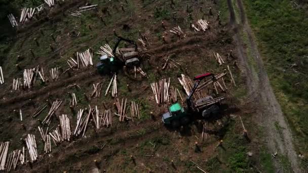 Disparo Aéreo Brazo Mecánico Una Máquina Eliminación Corteza Especializada Tira — Vídeo de stock