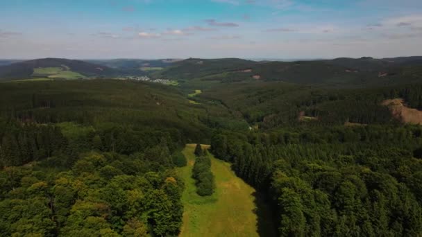 飞行员俯瞰德国松树林上空的飞行 无人机在树梢上空盘旋 自然背景镜头 — 图库视频影像