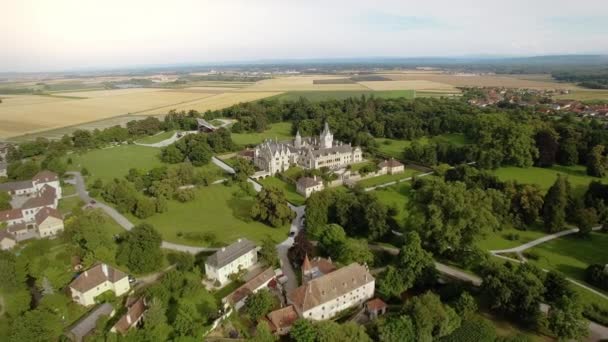 Aerial Shot Castle Schloss Grafenegg Lower Austria Volando Hacia Castillo — Vídeos de Stock
