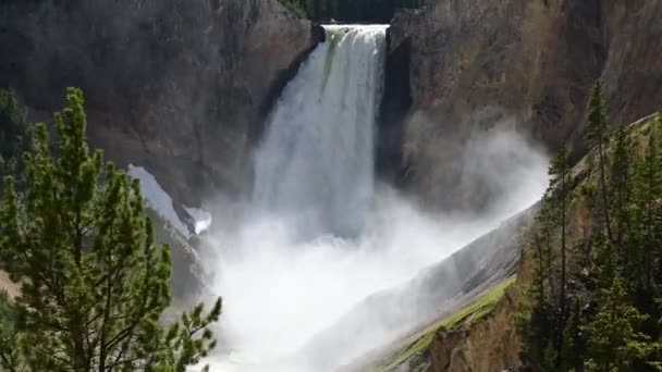 Водопад Гранд Каньоне Йеллоустонского Национального Парка Вайоминг Сша Солнечный Летний — стоковое видео