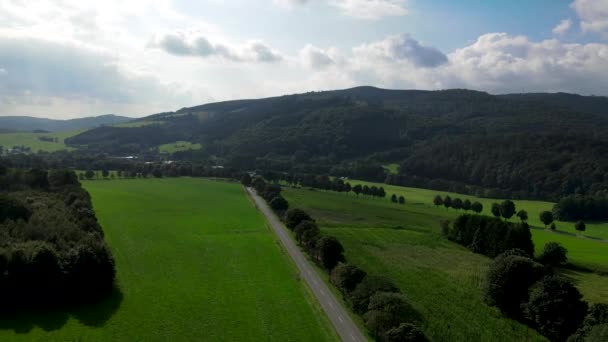 Flygfoto Landsväg Skogen Drone Skott Flyger Över Trädtopparna Natur Bakgrundsbilder — Stockvideo