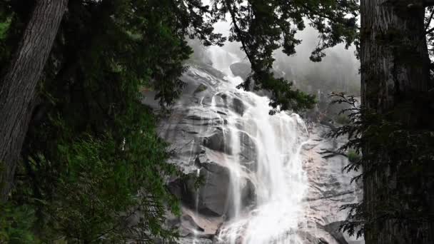 Shannon Falls Tercera Caída Más Alta Columbia Británica Canadá Vista — Vídeo de stock