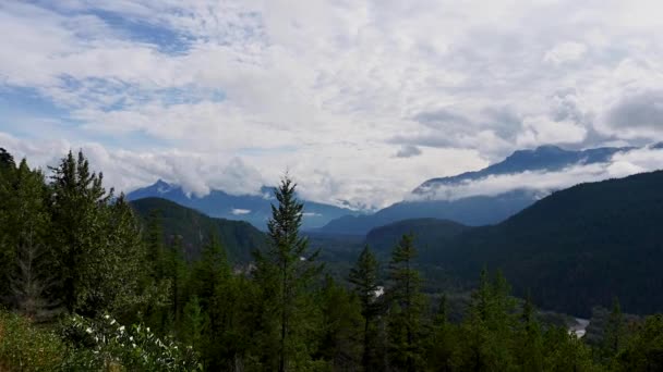 Uitzicht Het Bergdal Dennenbos Bergdal — Stockvideo