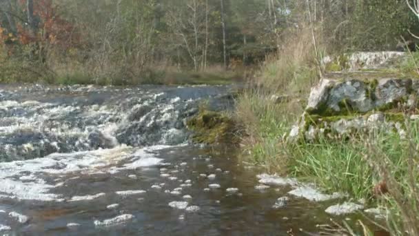 Idyllische Noordse Rivier Krachtige Kracht — Stockvideo