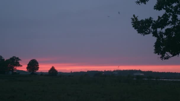 美しい赤い夕日の前に落ちる葉 — ストック動画