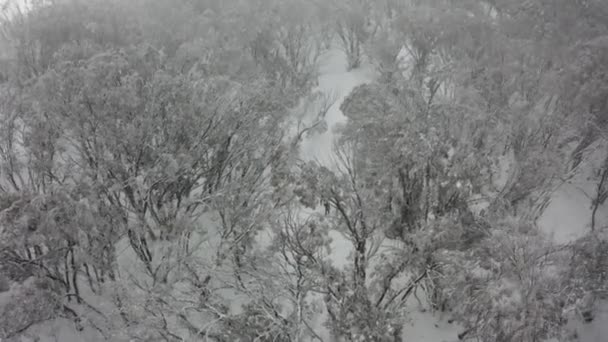 单色空中 斯特林山路上的越野滑雪者 — 图库视频影像