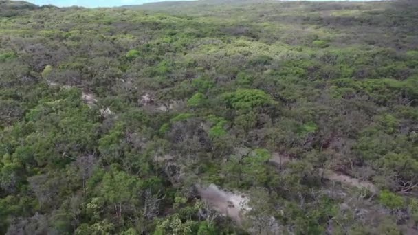 Órbitas Aéreas Alrededor Del Camión Awd Carretera Arenosa Australia Bosques — Vídeos de Stock