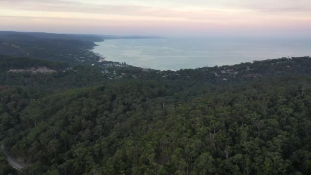 Aérien Collines Boisées Denses Dessus Côte Anglesea Australie — Video