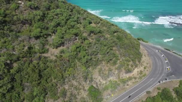 Wandelaars Lopen Pad Hoog Boven Kust Strand Weg Victoria Australië — Stockvideo