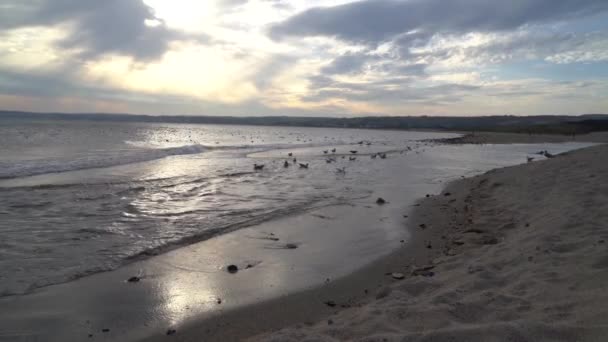 Penzance Cornwall Ngiltere Deniz Kenarında Güneş Batıyor — Stok video