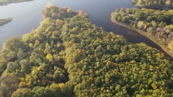 Hermoso Paisaje Tiro Aéreo Dron Bosque Bosques Tranquilo Lago — Vídeos de Stock