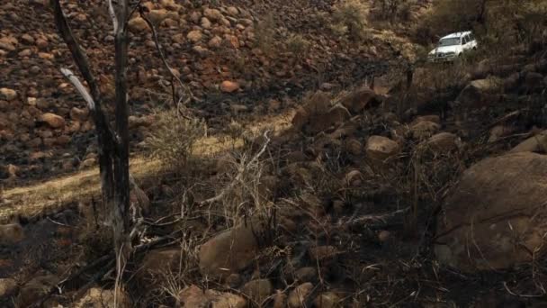 Velho Robusto Suv Condução Através Estrada Terra — Vídeo de Stock