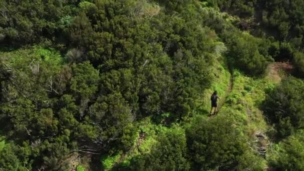 등산객 나뭇가지와 반바지를 가지고 에스피가 모렐로 마데이라 아름답고 사이의 오솔길을 — 비디오