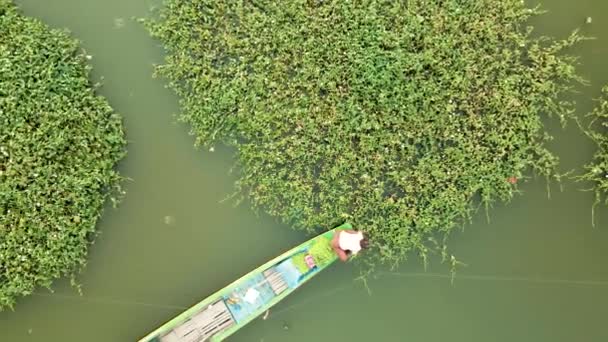 Persona Barco Cosechando Gloria Verde Mañana Los Cultivos Circulares Geométricos — Vídeo de stock