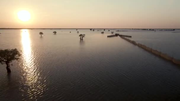 Złoty Zachód Słońca Nad Jeziorem Tonle Sap Samoloty Powodziowe Gdy — Wideo stockowe