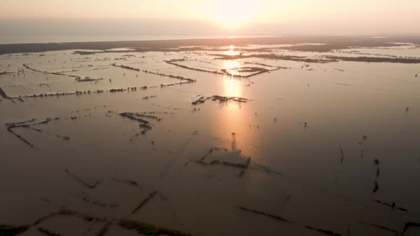 Pesawat Tak Berawak Terbang Atas Pesawat Banjir Pantai Tonle Sap — Stok Video