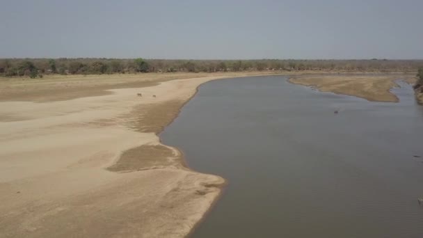 Antenne Mutter Und Elefantenbaby Spazieren Auf Matsch Nahe Afrikanischem Fluss — Stockvideo