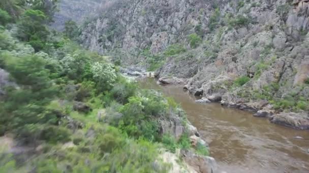 Pov Vuelo Bajo Aguas Abajo Remoto Cañón Del Río Para — Vídeos de Stock