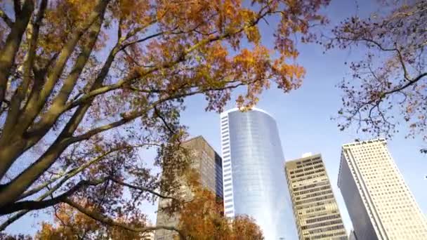 Vista Arquitectura Moderna Edificios Oficinas Ciudad Nueva York Con Cielo — Vídeos de Stock