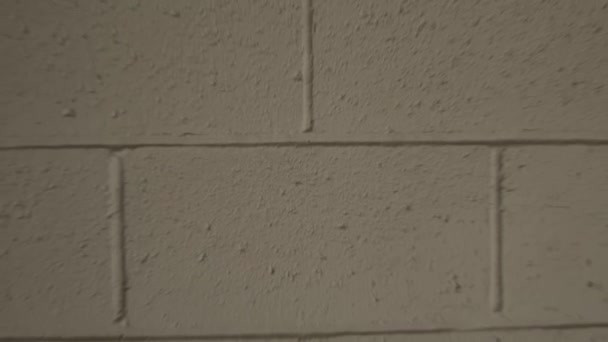 カメラはゆっくりとダンジョン内の壁からズームアウト 白塗りセメントレンガ — ストック動画