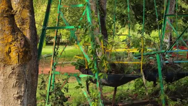 Oude Schommel Voormalige Speeltuin Geplant Met Botanische Planten Schuifschot — Stockvideo