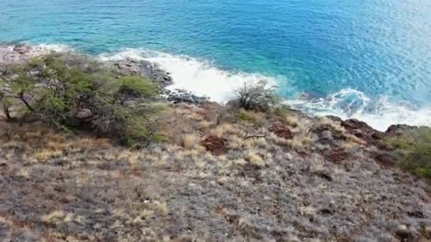 Vlieg Kustlijn Naar Oceaan Van West Mountains Maui Hawaï — Stockvideo