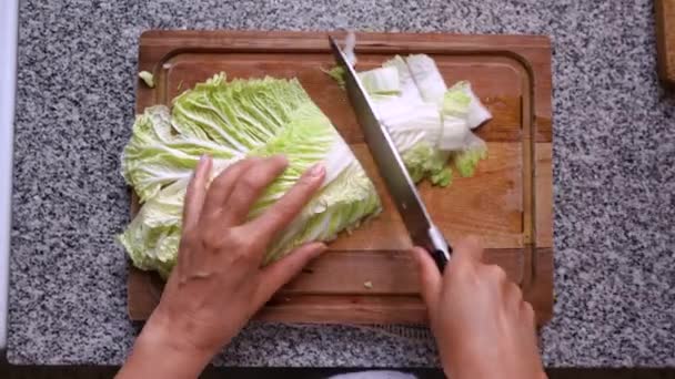 Overhead Shot Cook Cutting Fresh Hakusai Λάχανο Νάπα Ξύλο Κοπής — Αρχείο Βίντεο