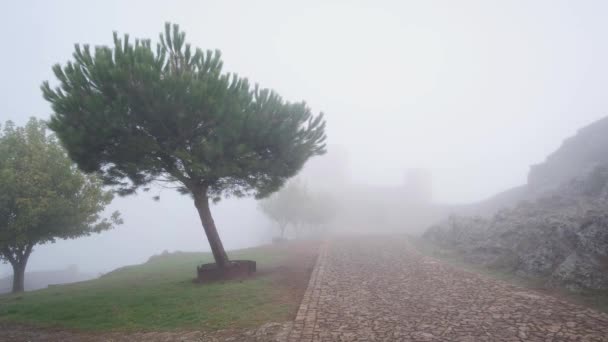 Mist Overdekte Loopbrug Met Bomen Kasteel Marvo — Stockvideo