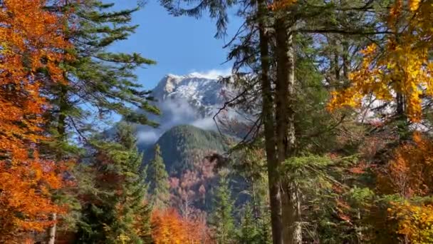 背景にカラフルな落葉樹と雪に覆われた山々とオーストリアのシャルニッツの近くに美しい秋の風景 — ストック動画