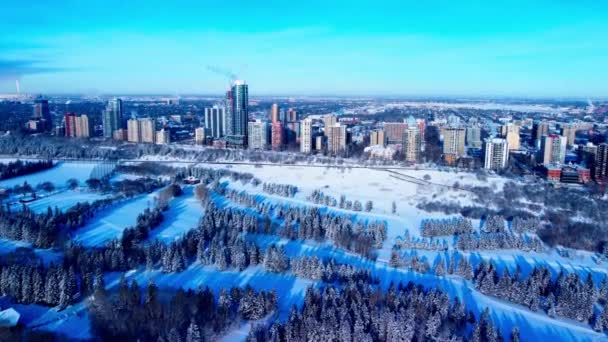 Winter Aerial Sunny Flyover Victoria Park Cross Country Skiing Paths — Stock Video