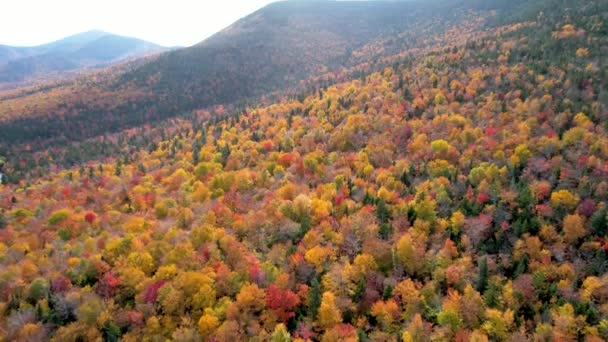 Осенние Цвета Лесу Горах Новой Англии Вид Воздуха — стоковое видео