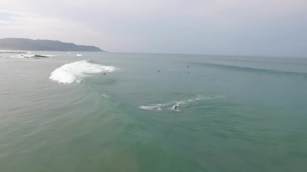 Drone Footage Surfování Santa Teresa Costa Rica — Stock video