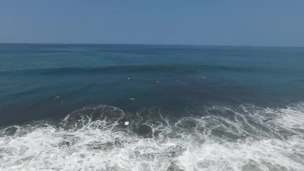 Dron Záběry Surfaři Dostat Fronty Nahoru — Stock video