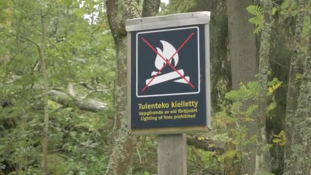 火事の照明は禁止された 森の中の禁止標識 — ストック動画